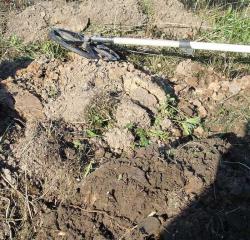 post-2838-0-17723000-1363427956_thumb.jp