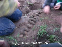 post-2838-0-18970300-1363154444_thumb.jp