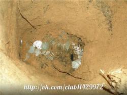 post-2838-0-24829800-1363154501_thumb.jp