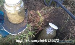 post-2838-0-24949900-1363410750_thumb.jp