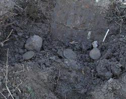 post-2838-0-35754500-1363427983_thumb.jp