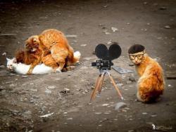 post-2838-0-37186200-1363001465_thumb.jp