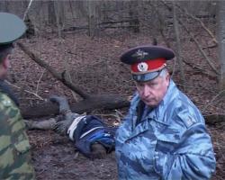 post-2838-0-39549300-1362934819_thumb.jp