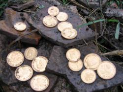 post-2838-0-43472400-1362386210_thumb.jp