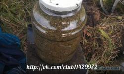 post-2838-0-49601400-1363410774_thumb.jp