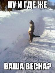 post-2838-0-58930200-1362210119_thumb.jp