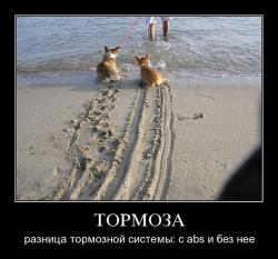 post-2838-0-61215800-1363001485_thumb.jp