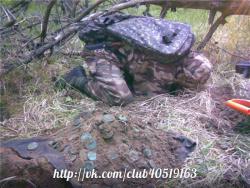 post-2838-0-95995400-1364304793_thumb.jp