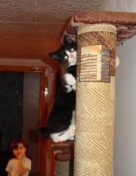 post-2898-0-38719700-1362923515_thumb.jp