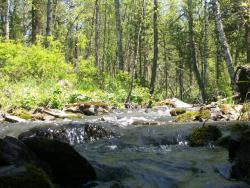 post-3010-0-03159000-1364480599_thumb.jp