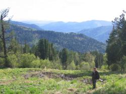 post-3010-0-07201400-1364481039_thumb.jp