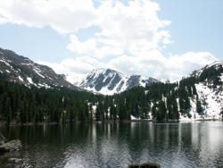 post-3010-0-25569200-1364481149_thumb.jp