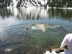 post-3010-0-31378300-1364481173_thumb.jp