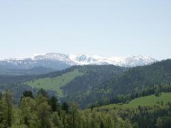 post-3010-0-53810000-1364480577_thumb.jp