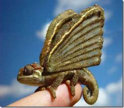 post-3757-0-03228500-1363479408_thumb.jp