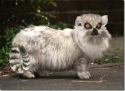 post-3757-0-37120100-1363479361_thumb.jp