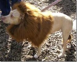 post-3757-0-76884200-1363479324_thumb.jp