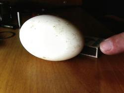 post-4269-0-09752000-1364487805_thumb.jp