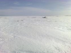 post-4322-0-08778900-1364286733_thumb.jp