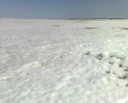 post-4322-0-91016100-1364641441_thumb.jp