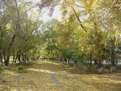 post-4485-0-48712500-1363269375_thumb.jp