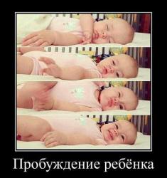 post-4485-0-54687900-1364315167_thumb.jp