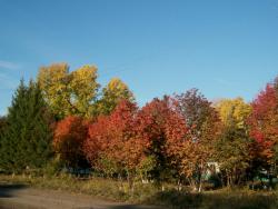 post-4485-0-72342300-1363270291_thumb.jp