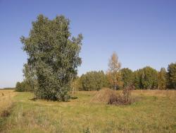 post-4485-0-83917500-1363270309_thumb.jp