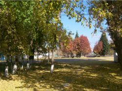 post-4485-0-95802600-1363269499_thumb.jp