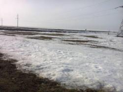 post-4732-0-02556000-1364645056_thumb.jp