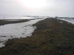 post-4732-0-18701900-1364645042_thumb.jp