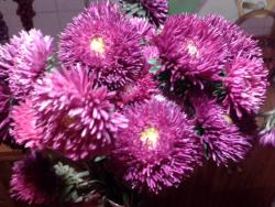 post-4989-0-30396300-1362724434_thumb.jp