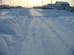 post-5088-0-61512600-1364319855_thumb.jp