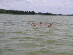 post-5426-0-35358400-1363670652_thumb.jp