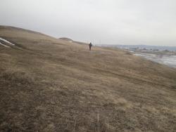 post-6086-0-79740400-1364644622_thumb.jp