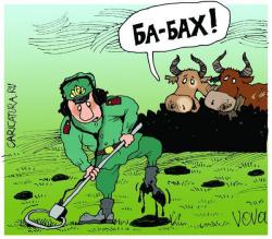 post-6527-0-51352800-1362803377_thumb.jp