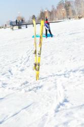 post-7597-0-08184100-1364659028_thumb.jp