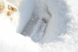 post-7597-0-26505500-1364658506_thumb.jp