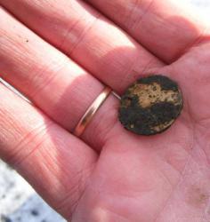 post-9966-0-50281400-1364130323_thumb.jp