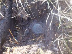 post-10090-0-29390300-1396277248_thumb.j