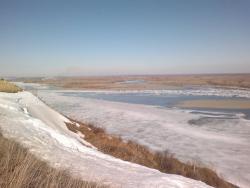 post-10440-0-38096500-1395908490_thumb.j