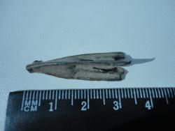 post-10440-0-59375100-1395908520_thumb.j