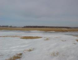 post-10462-0-02897400-1395587162_thumb.j