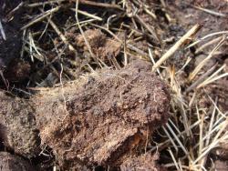 post-10462-0-26426500-1395587413_thumb.j