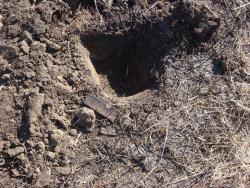 post-10462-0-33911600-1395587484_thumb.j