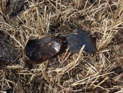 post-10462-0-44919900-1395587386_thumb.j