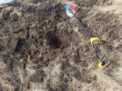 post-10462-0-95106300-1395587461_thumb.j