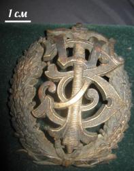 post-1131-0-02783500-1394468121_thumb.jp