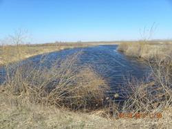 post-11631-0-62100400-1394381035_thumb.j