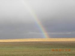 post-11631-0-75258300-1394381024_thumb.j